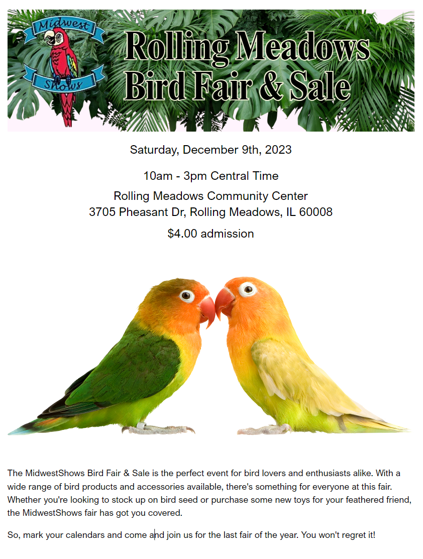 Conure Vs Lovebird: The Ultimate Showdown of Feathered Friends